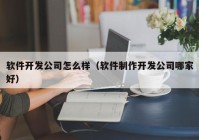 软件开发公司怎么样（软件制作开发公司哪家好）