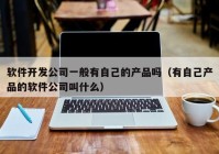 软件开发公司一般有自己的产品吗（有自己产品的软件公司叫什么）