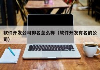 软件开发公司排名怎么样（软件开发有名的公司）