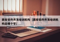 西安软件开发培训机构（西安软件开发培训机构去哪个学）