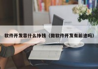 软件开发靠什么挣钱（做软件开发有前途吗）