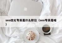 seo优化专员是什么职位（seo专员是啥）