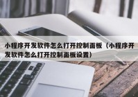 小程序开发软件怎么打开控制面板（小程序开发软件怎么打开控制面板设置）