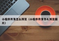 小程序开发怎么预览（小程序开发怎么预览图片）